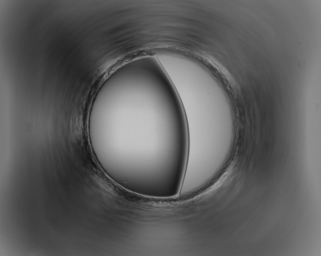 X0000088190969200705150956