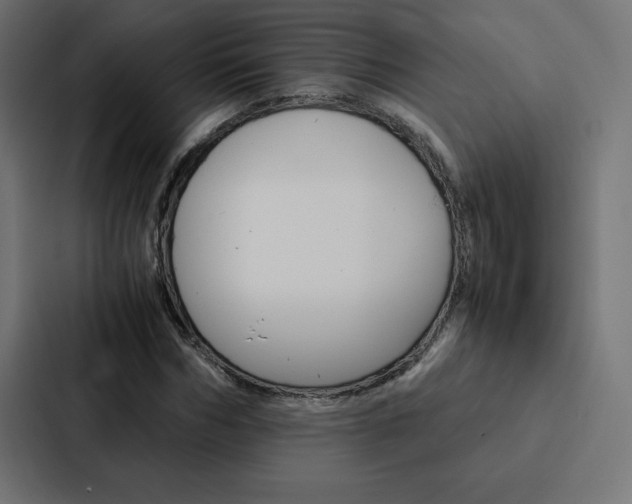 X0000088190970200705150956