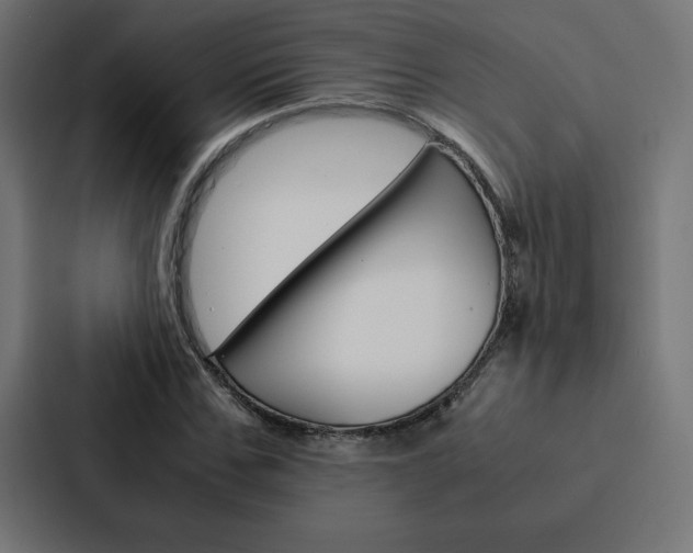 X0000088190971200705150956