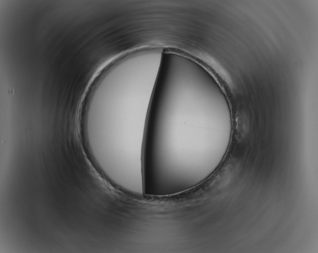 X0000088190972200705150956