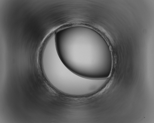 X0000088190973200705150956