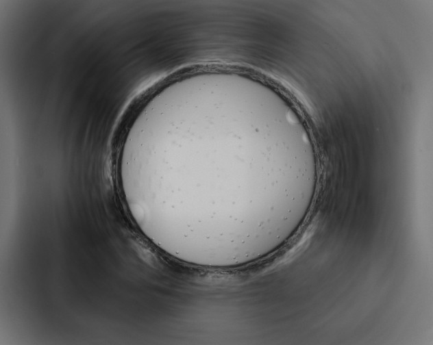X0000088190974200705150956