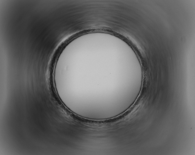 X0000088190975200705150956