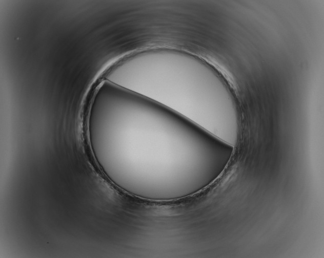 X0000088190976200705150956