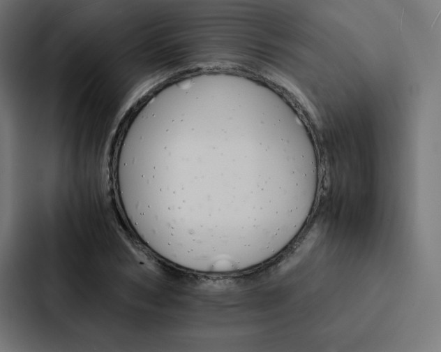 X0000088190978200705150956