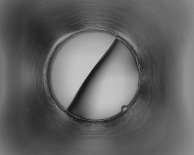 X0000088190979200705150956