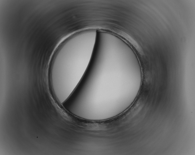 X0000088190980200705150956