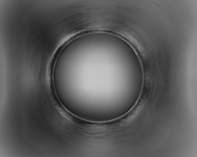 X0000088190981200705150956