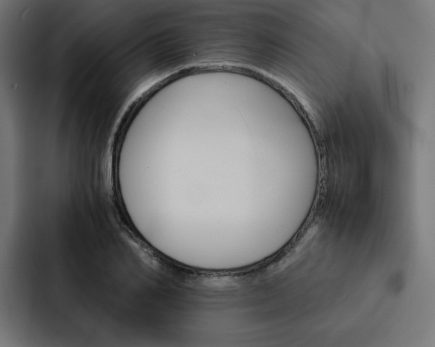 X0000088190982200705150956