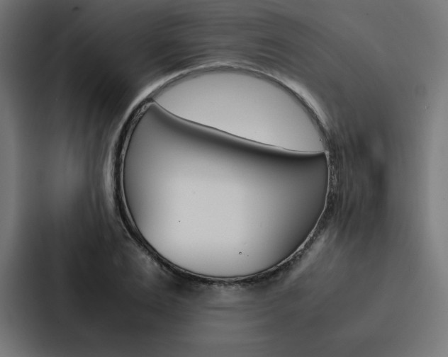 X0000088190983200705150956