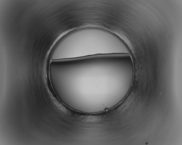 X0000088190984200705150956