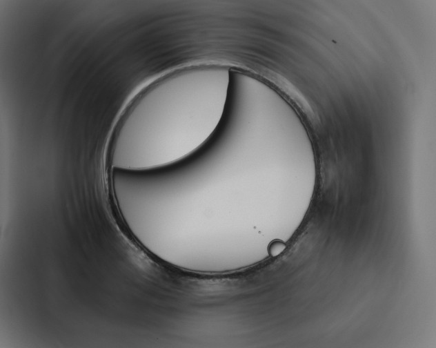 X0000088190988200705150956