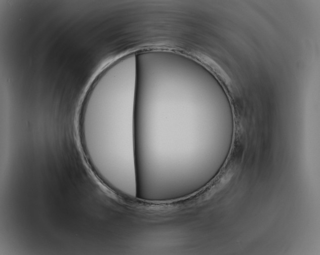 X0000088190989200705150956