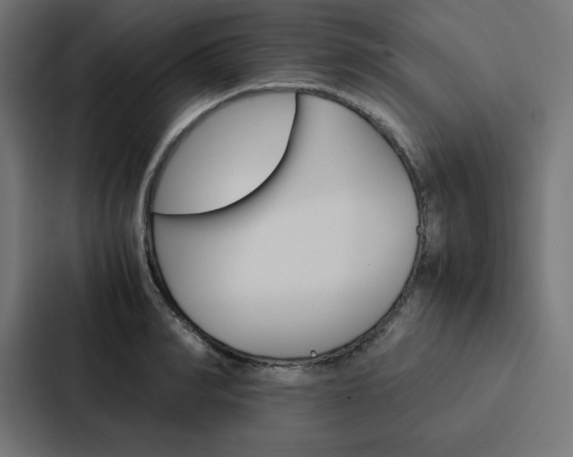 X0000088190990200705150956