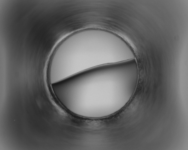 X0000088190991200705150956