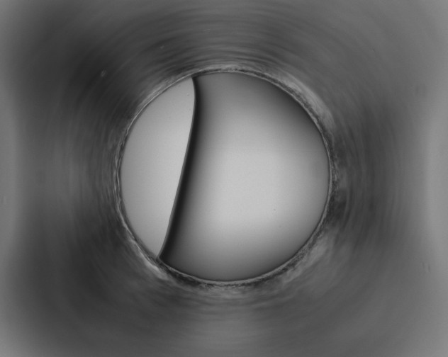 X0000088190993200705150956