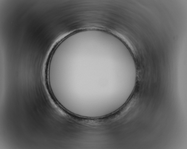 X0000088190995200705150956