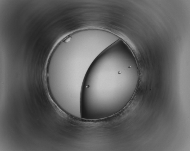 X0000088190996200705150956