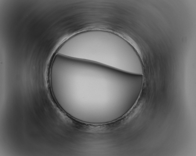 X0000088190997200705150956