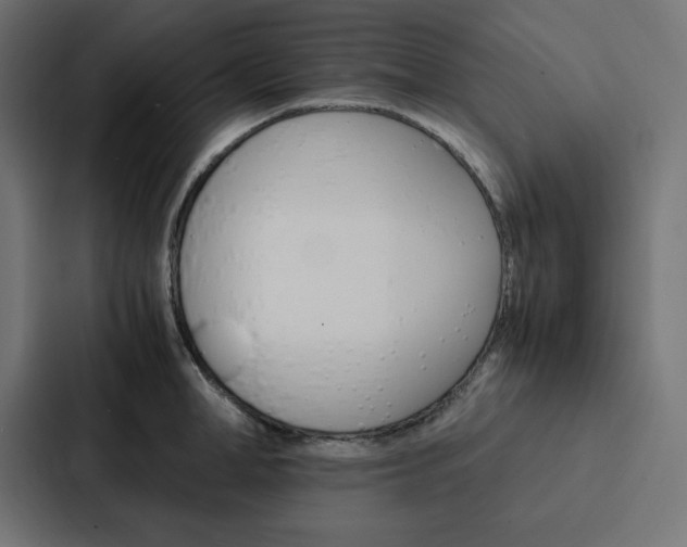 X0000088190998200705150956