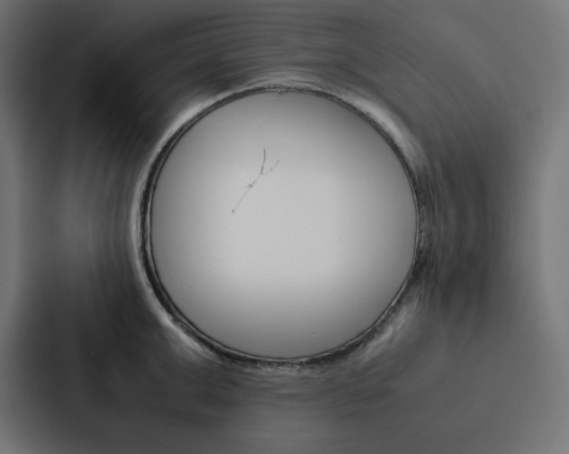X0000088190999200705150956