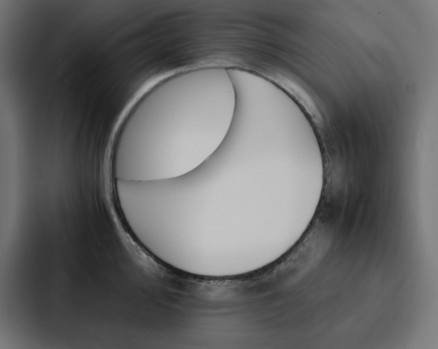 X0000088191000200705150955