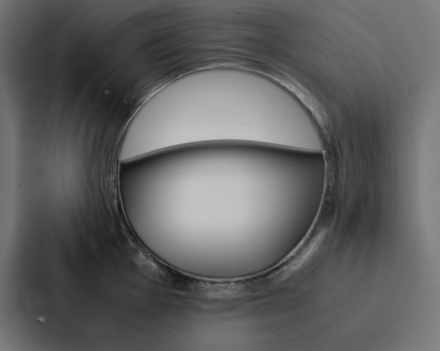 X0000088191001200705150955
