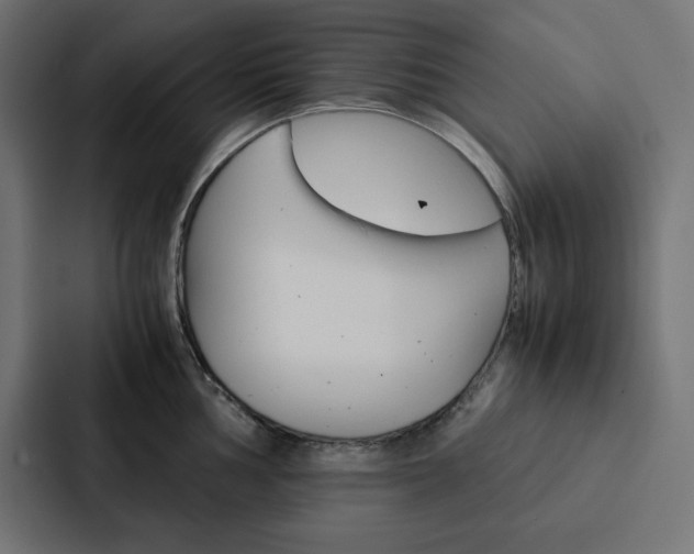 X0000088191002200705150955