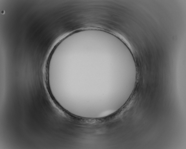 X0000088191003200705150955