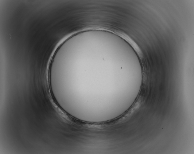 X0000088191004200705150955