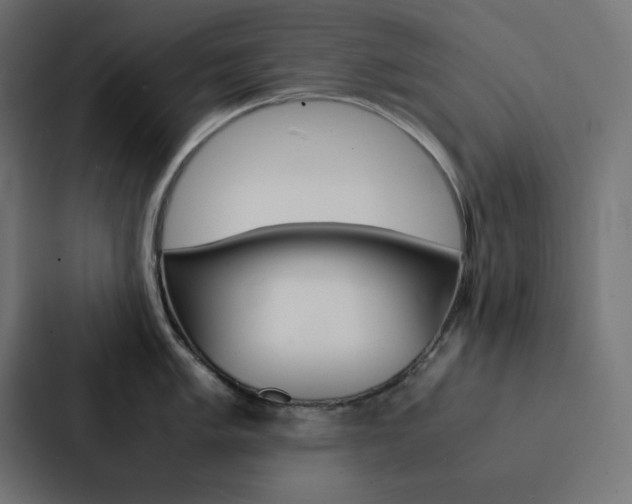 X0000088191005200705150955