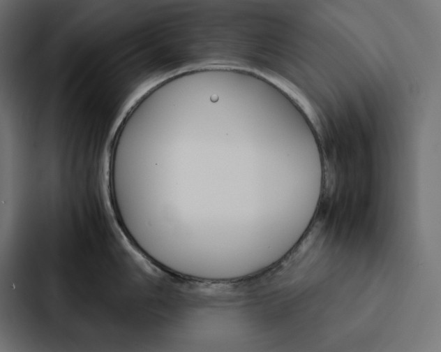 X0000088191006200705150955