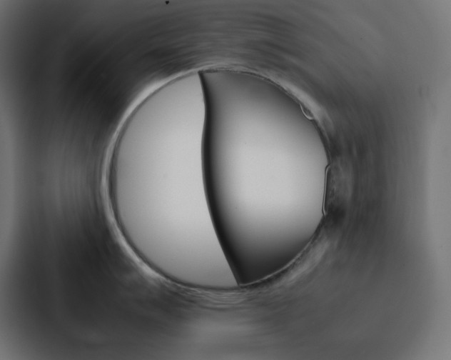 X0000088191007200705150955