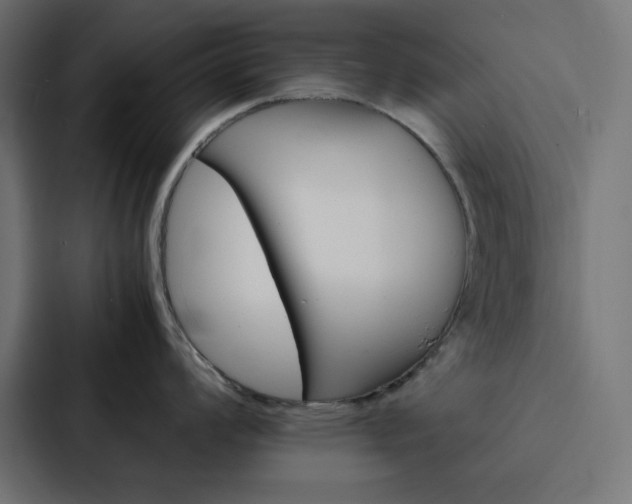 X0000088191008200705150955
