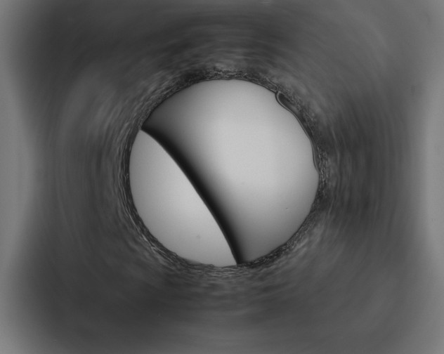 X0000088191009200705150955