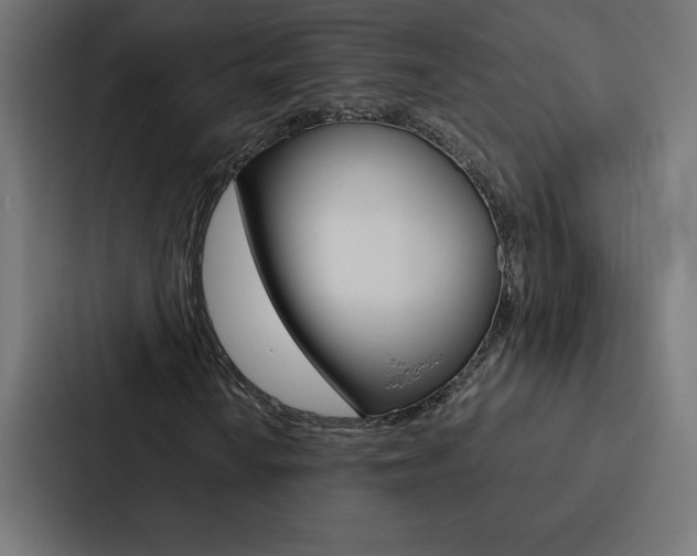 X0000088191010200705150955
