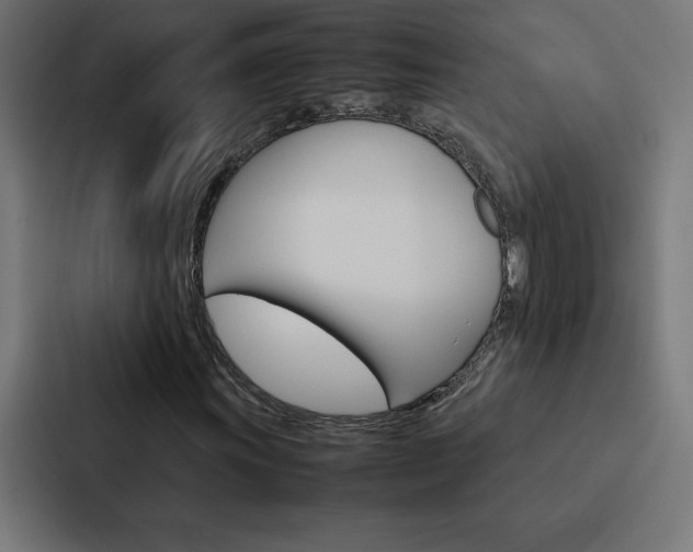 X0000088191011200705150955