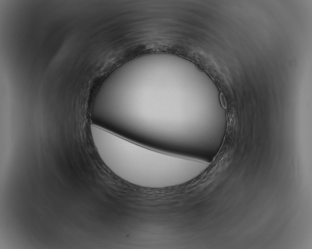 X0000088191012200705150955