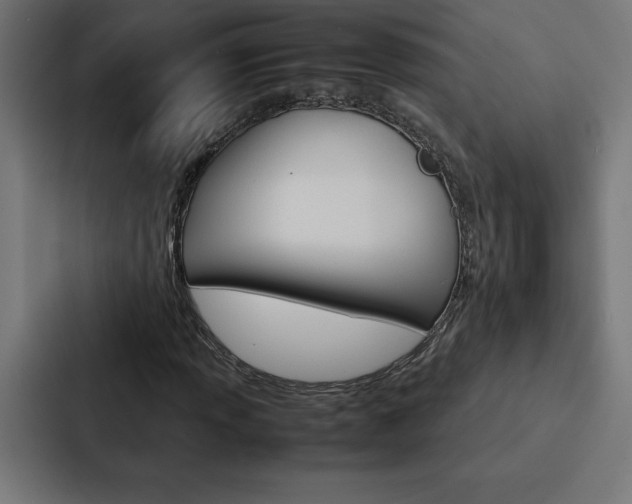 X0000088191013200705150955