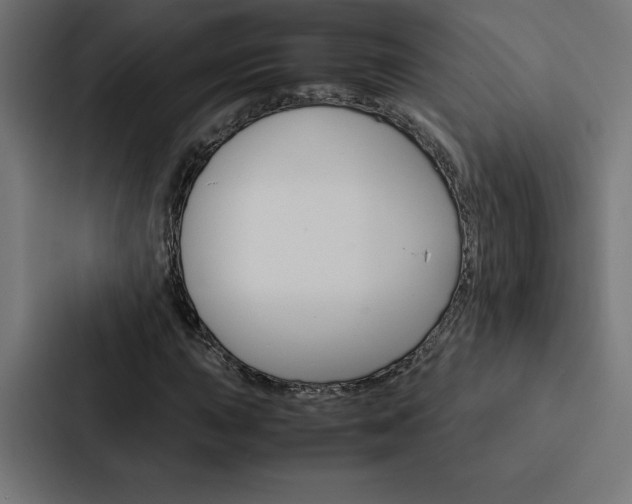 X0000088191015200705150955