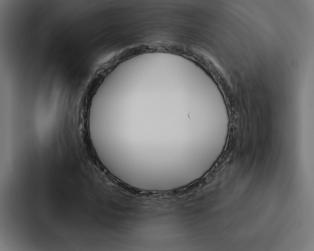 X0000088191016200705150955