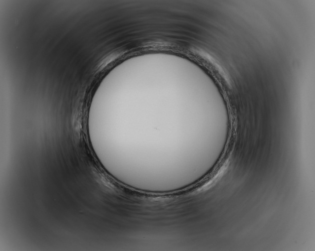 X0000088191017200705150955