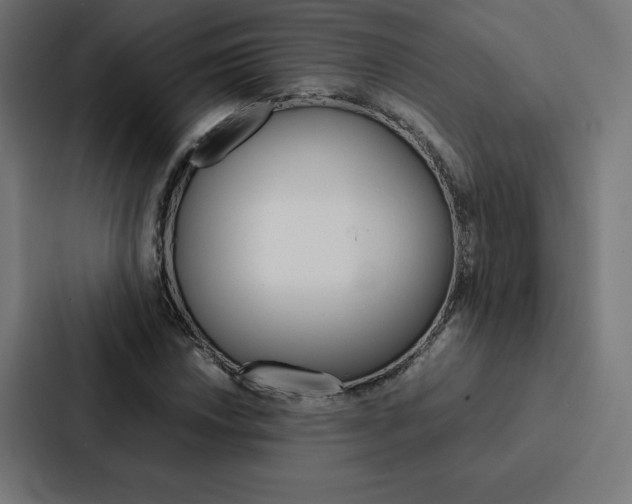 X0000088191018200705150955