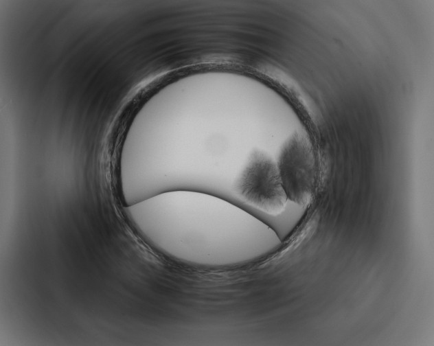 X0000088191019200705150955