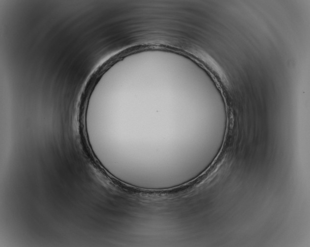 X0000088191020200705150955