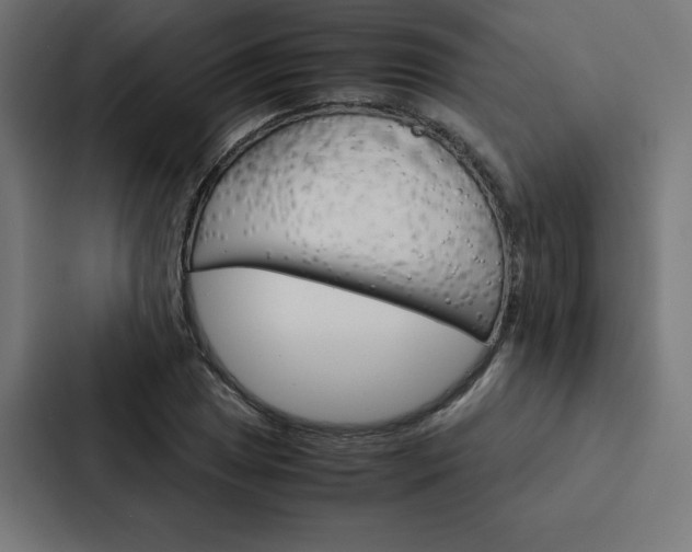 X0000088191025200705150955