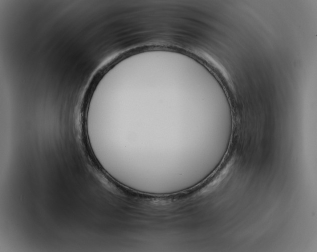 X0000088191029200705150955