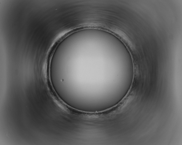 X0000088191030200705150955