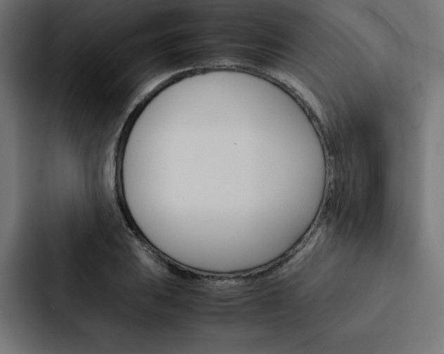 X0000088191031200705150955