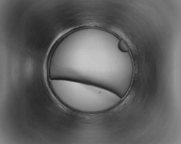 X0000088191032200705150955